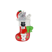 Load image into Gallery viewer, Personalized Christmas Pet Ornament Kitty Stocking