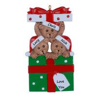 Load image into Gallery viewer, Christmas Gift Personalized Ornament Bear Gift Family 3