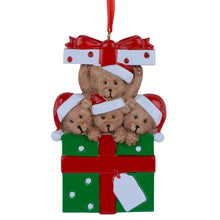Load image into Gallery viewer, Gift Personalized for Christmas Family Ornament Gift Bear Gift Family 4