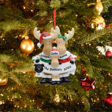 Load image into Gallery viewer, Personalized Christmas Gift for Family 3 Decoration Ornament Moose