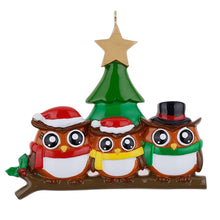 Load image into Gallery viewer, Personalized Christmas Gift for Family 3 Owl Decor Ornament