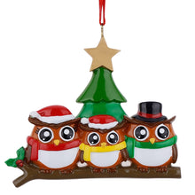 Load image into Gallery viewer, Personalized Christmas Gift for Family 3 Owl Decor Ornament