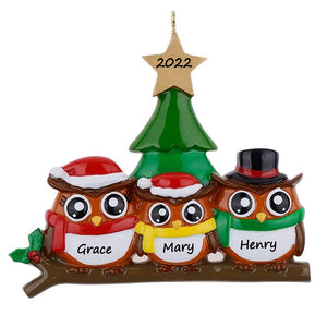 Personalized Christmas Ornament Owl Family 3