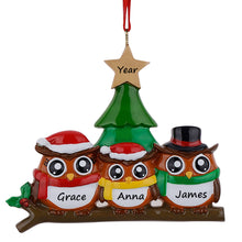 Load image into Gallery viewer, Personalized Christmas Gift for Family 3 Owl Decor Ornament
