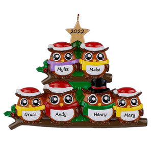 Personalized Christmas Ornament Owl Family 6