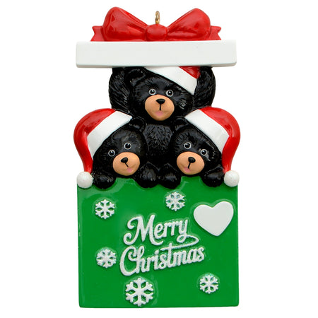 Bear in Gift Box Family of 3 Christmas Ornament