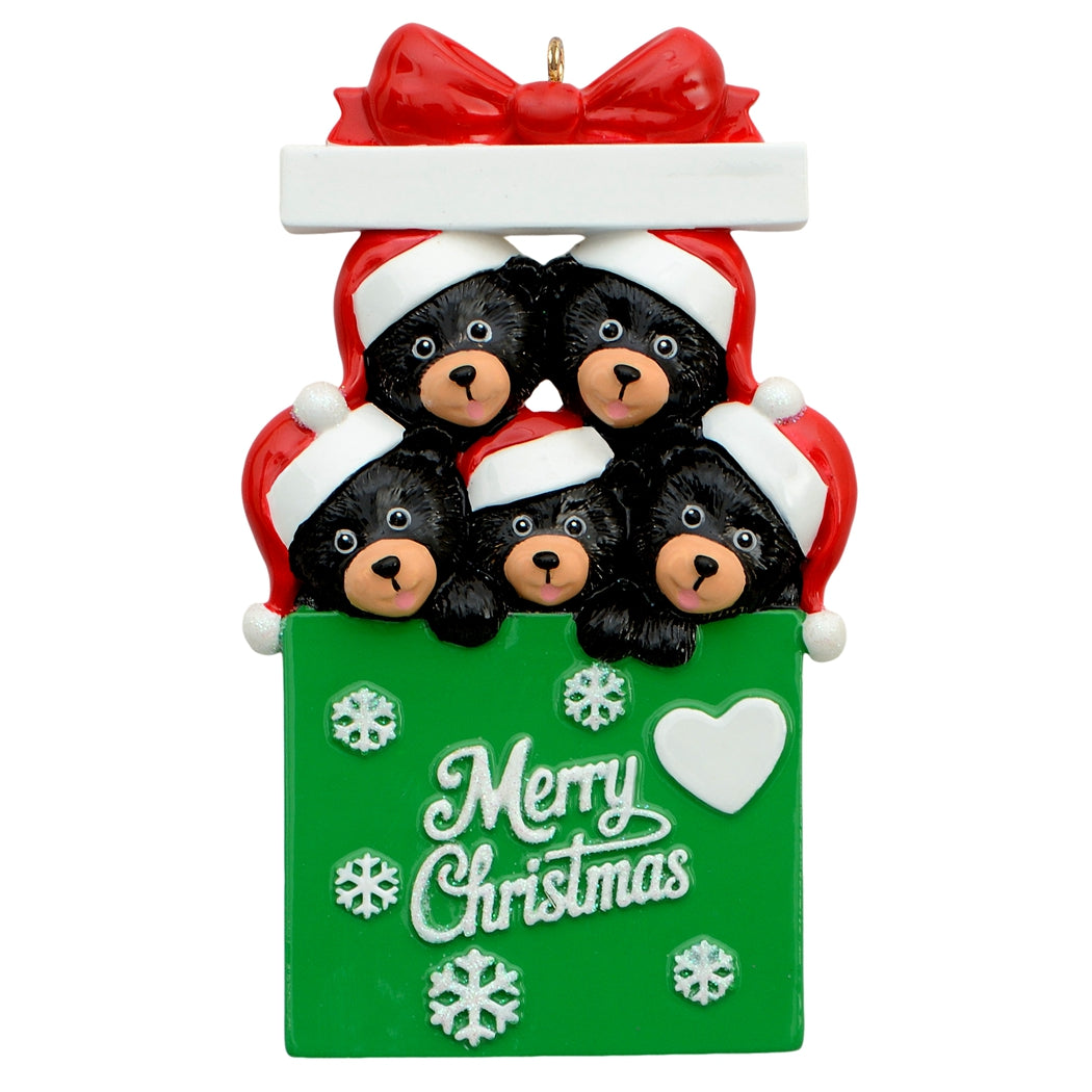 Bear in Gift Box Family of 5 Christmas Ornament