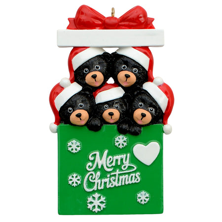 Bear in Gift Box Family of 5 Christmas Ornament