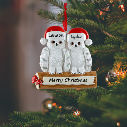 Personalized Owl Family of 2 Ornament