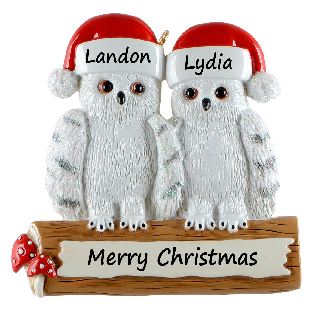 Personalized Owl Family of 2 Ornament