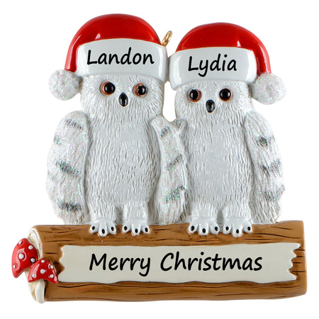 Personalized Owl Family of 2 Ornament