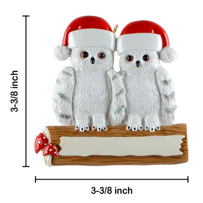 Personalized Owl Family of 2 Ornament