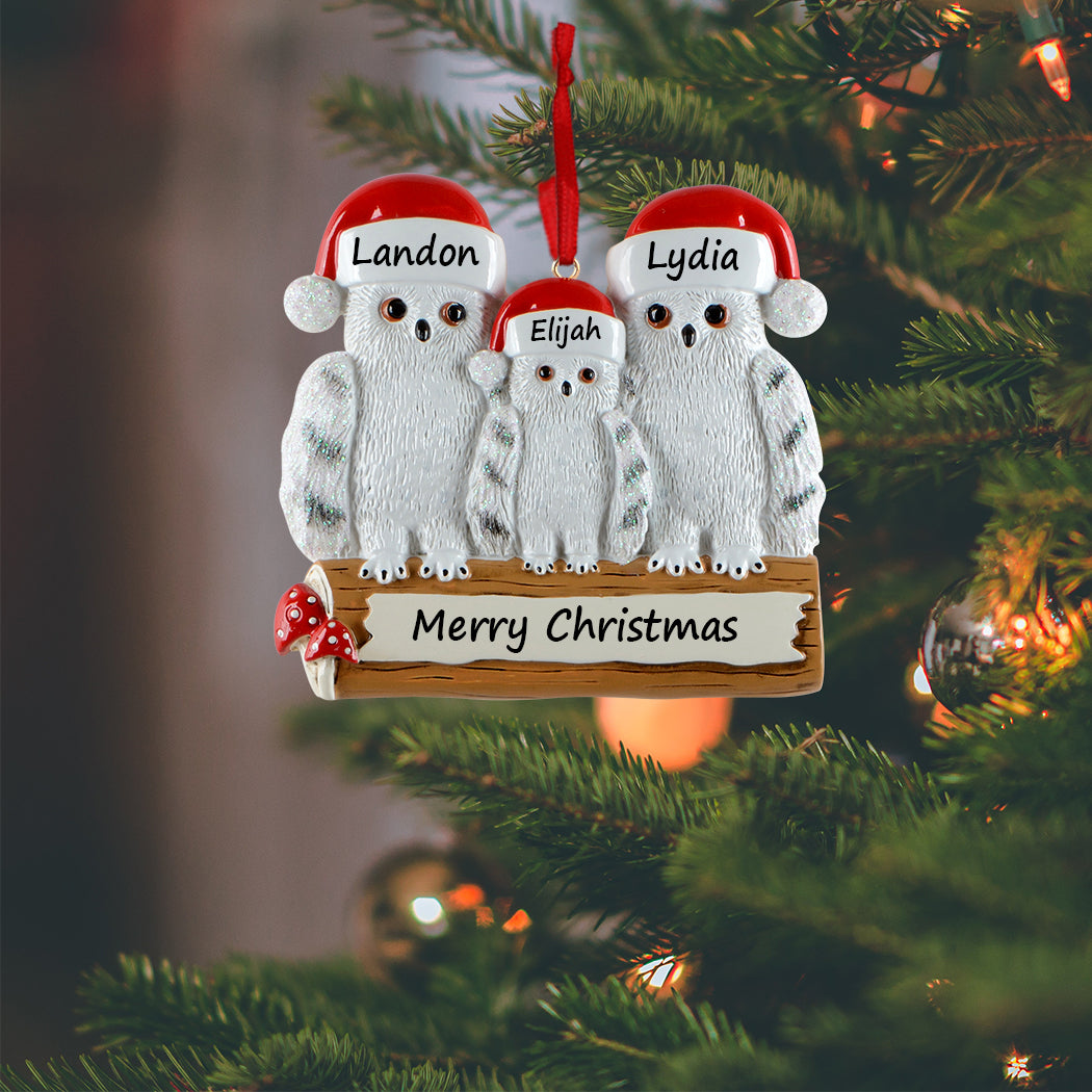 Personalized Owl Family of 3 Ornament