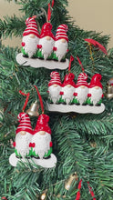 Load and play video in Gallery viewer, Personalized Ornament Christmas Gift for Family Gnomes Family of 2
