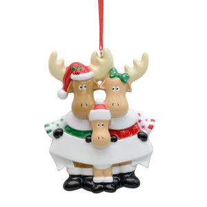 Personalized Christmas Gift for Family 3 Decoration Ornament Moose