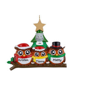 Personalized Christmas Gift for Family 3 Owl Decor Ornament