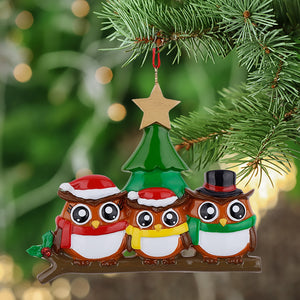 Personalized Christmas Gift for Family 3 Owl Decor Ornament